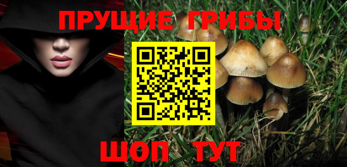 Галлюциногенные грибы ЛСД Алейск