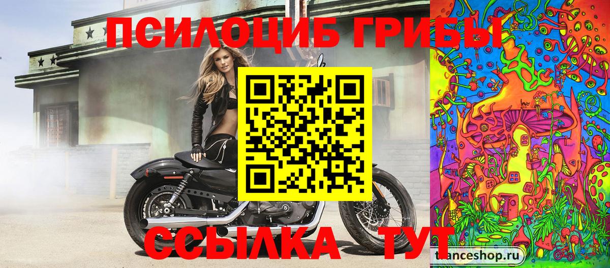 Галлюциногенные грибы GOLDEN TEACHER  Вход с VPN  Алейск 